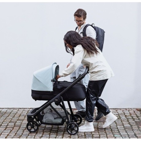 Moises Thule Shine Bassinet...