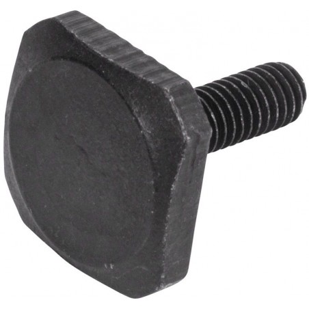 Perno T Thule 20mm / Canyon XT